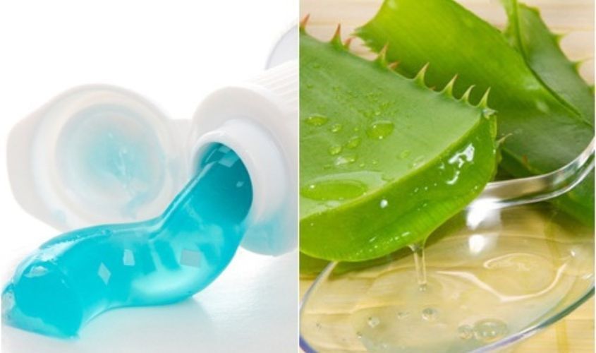 Nha đam kết hợp sầu riêng